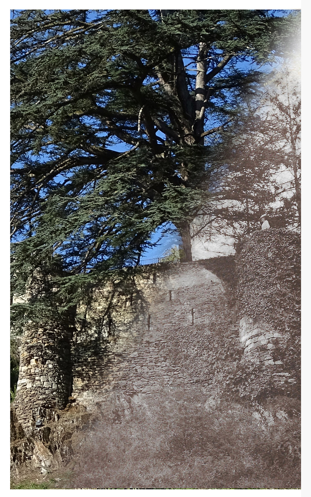 bastion trucage