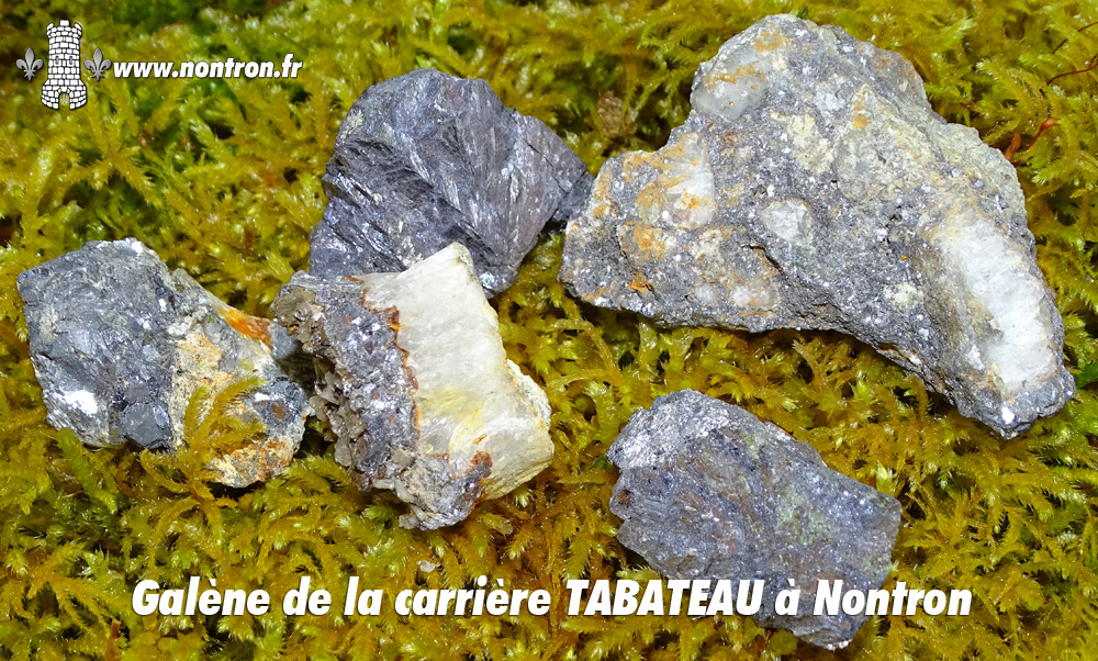 Galéne TABATEAU